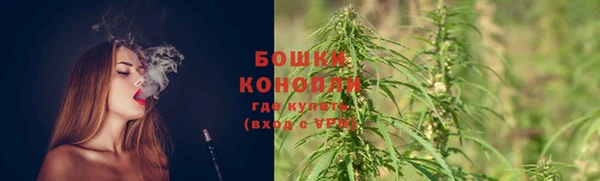 трава Аркадак