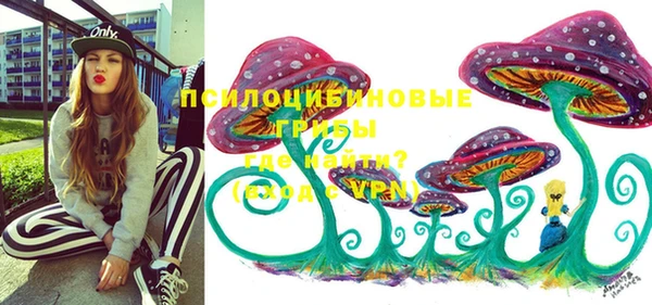 прущая мука Арсеньев